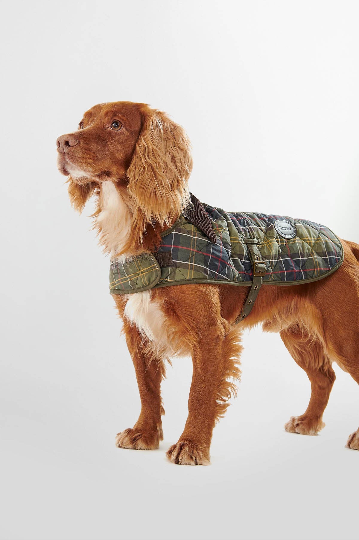Hunde-Tartanmantel