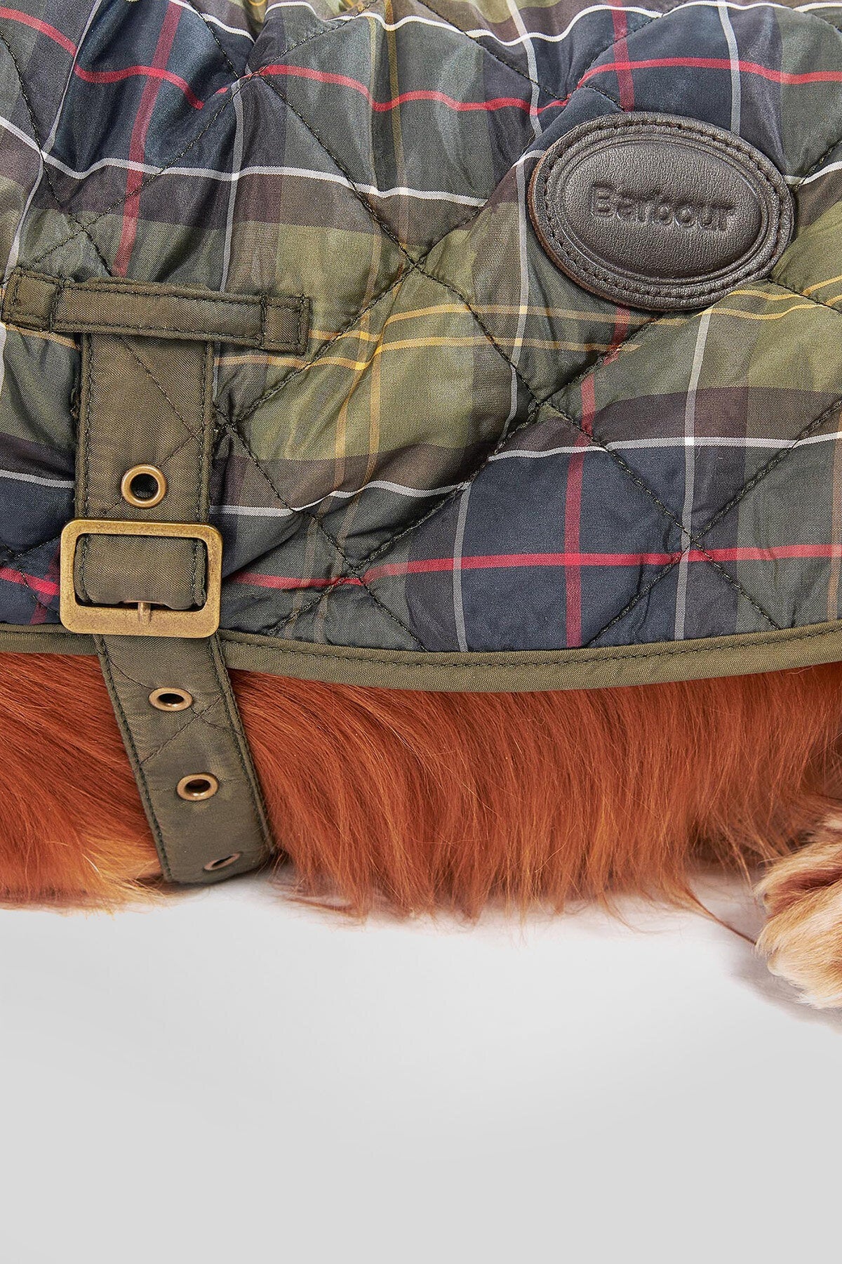 Hunde-Tartanmantel